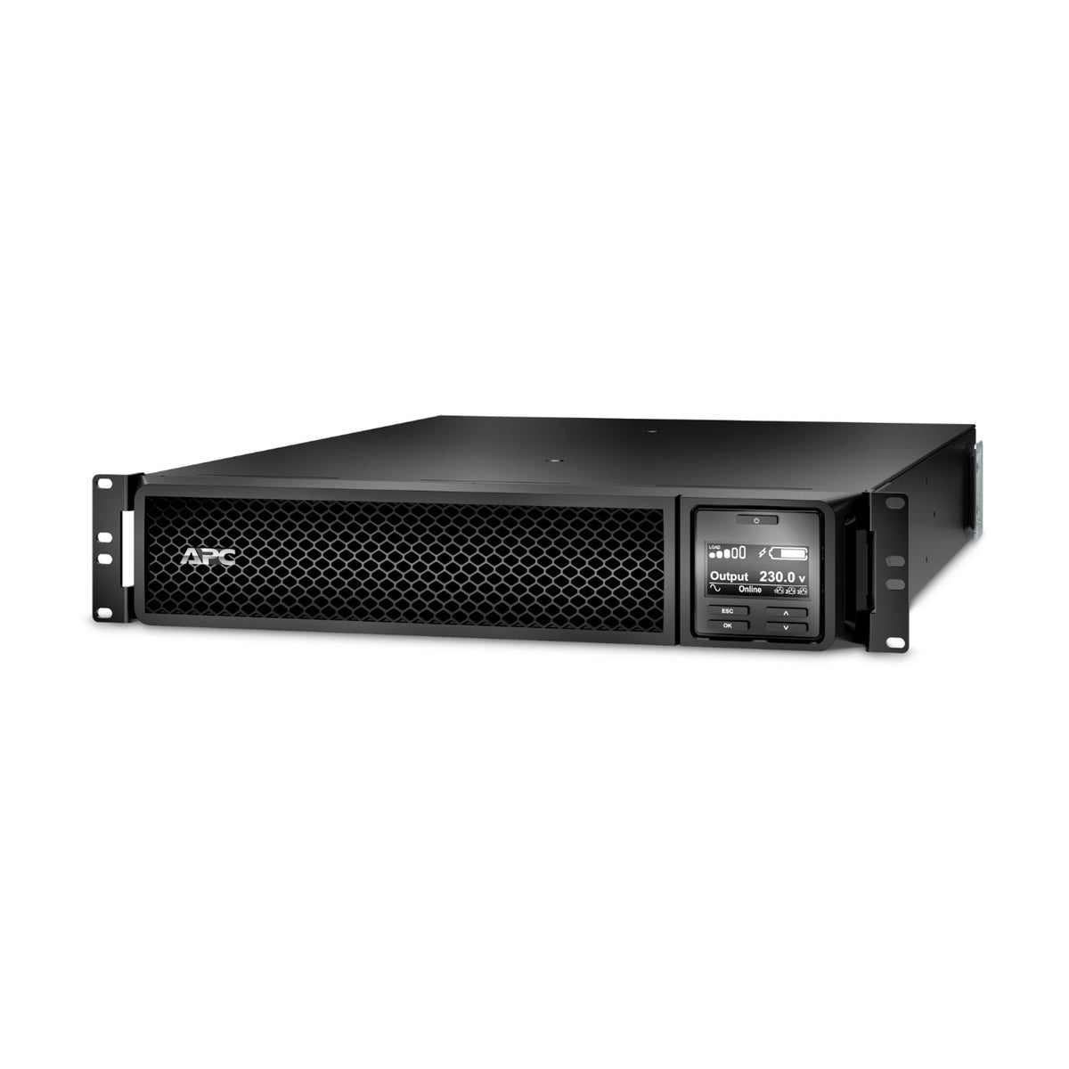 APC SRT1000RMXLI 1000VA Rackmount 2U UPS ds:a421892f