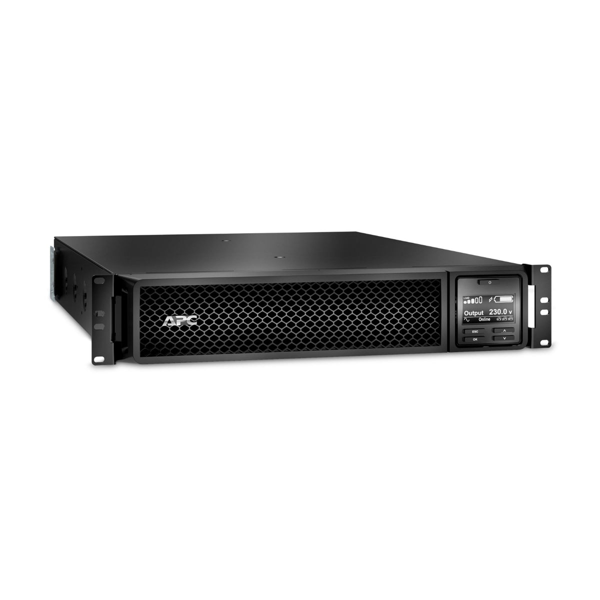 APC SRT1000RMXLI 1000VA Rackmount 2U UPS ds:db68694d