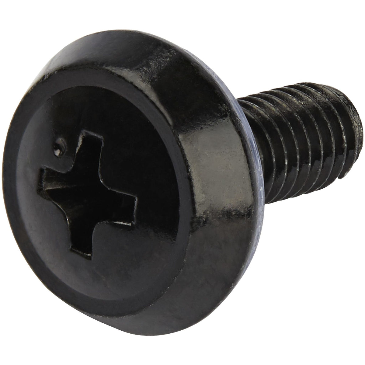 StarTech.com CABSCREW1032 10-32 Server Rack Cage Nuts and Screws ds:e473b017