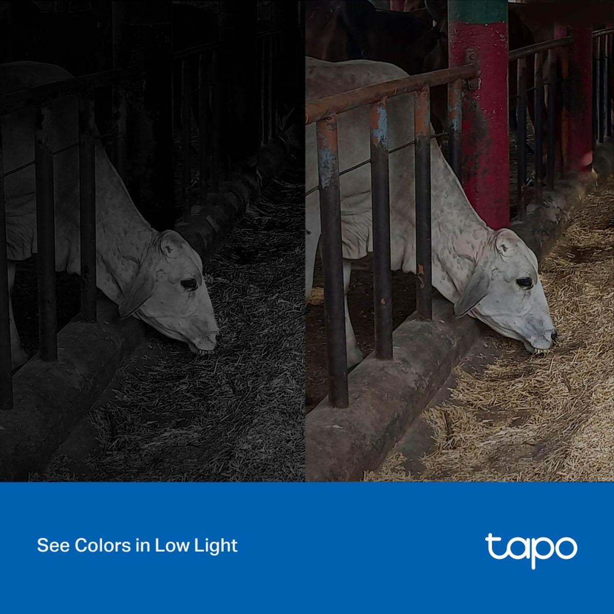 TP-Link Tapo C320WS 4MP Outdoor Wi-Fi Camera ds:d33ffc58