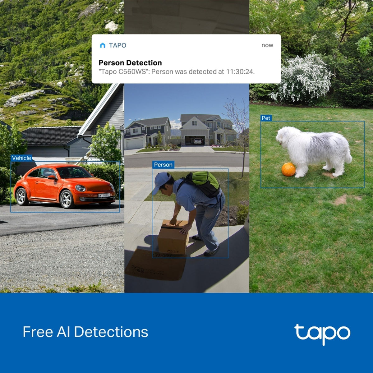 TP-Link TC46 4K 8MP Outdoor Pan/Tilt Wi-Fi Camera ds:c0608ce4