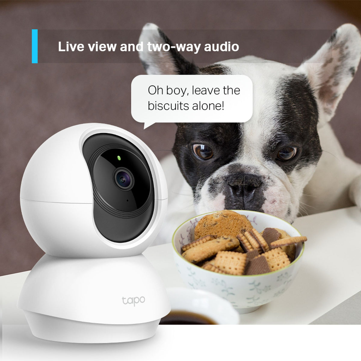 TP-Link TC70 1080p Pan/Tilt Wi-Fi Camera ds:8192f531